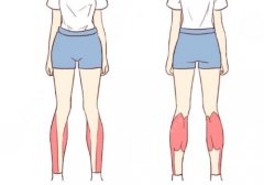 肌肉小腿怎么瘦成筷子腿肚子？这几个方法帮你成功瘦腿，拥有流畅线条~